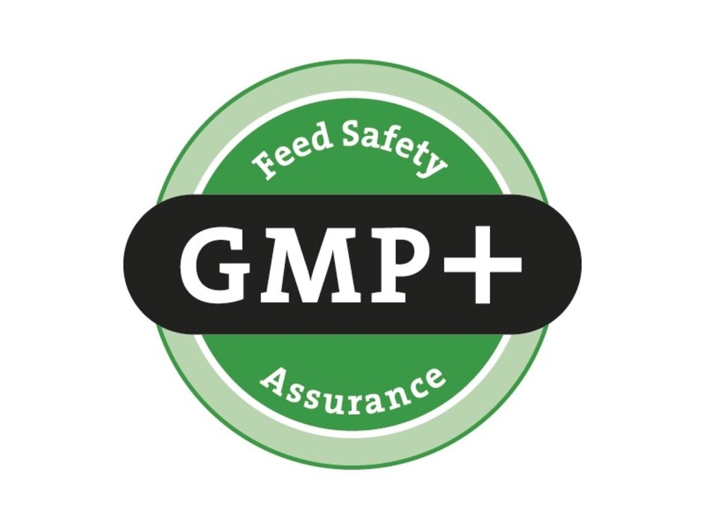 gmp feed safety assurance